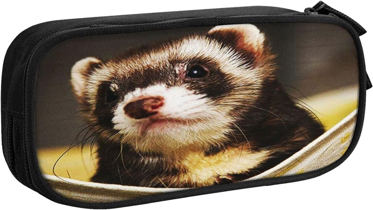 Etui met capaciteit - Pennenzak organizer - Kantoorbenodigdheden opbergen - Schattig fret design - 20.5 cm lengte - Multicolor