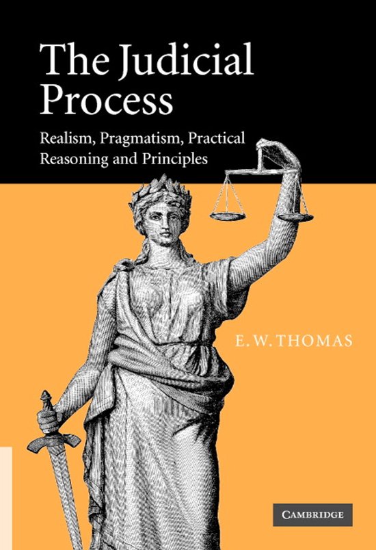 The Judicial Process - cover