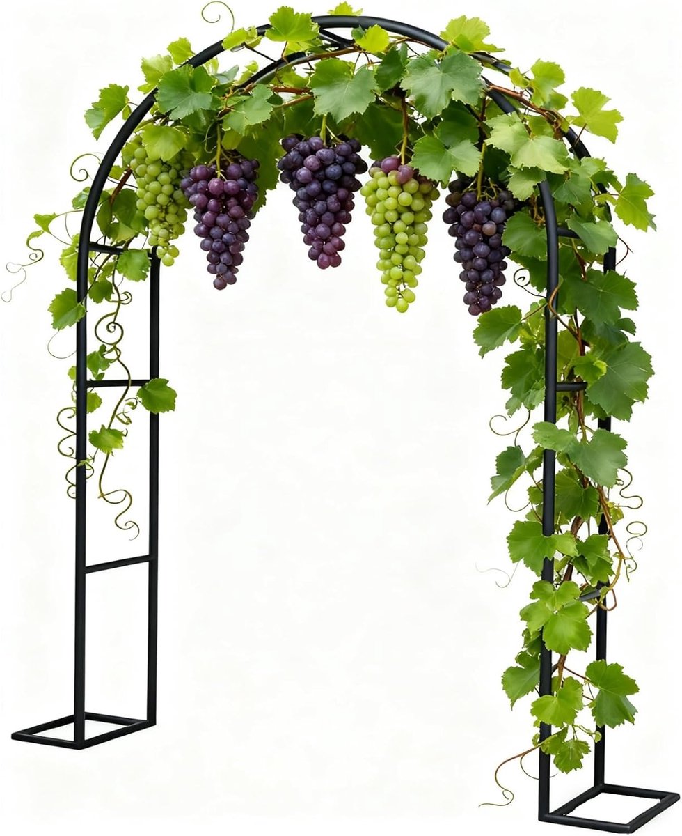 Metalen Rozenboog - Tuinboog Klimplanten - Buitenruimte Verfraaien - Verstelbaar Frame - 300 x 220 cm - Zwart