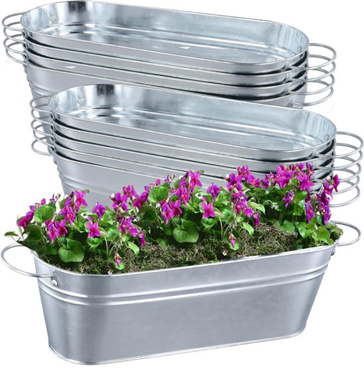 Solidchoice - Dailygoody - Gegalvaniseerde Bloempotten - Metalen Plantenbakken - 10