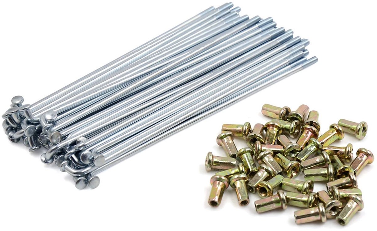 Solidchoice - Set van 36 Motor Spaak met Plated Spaken