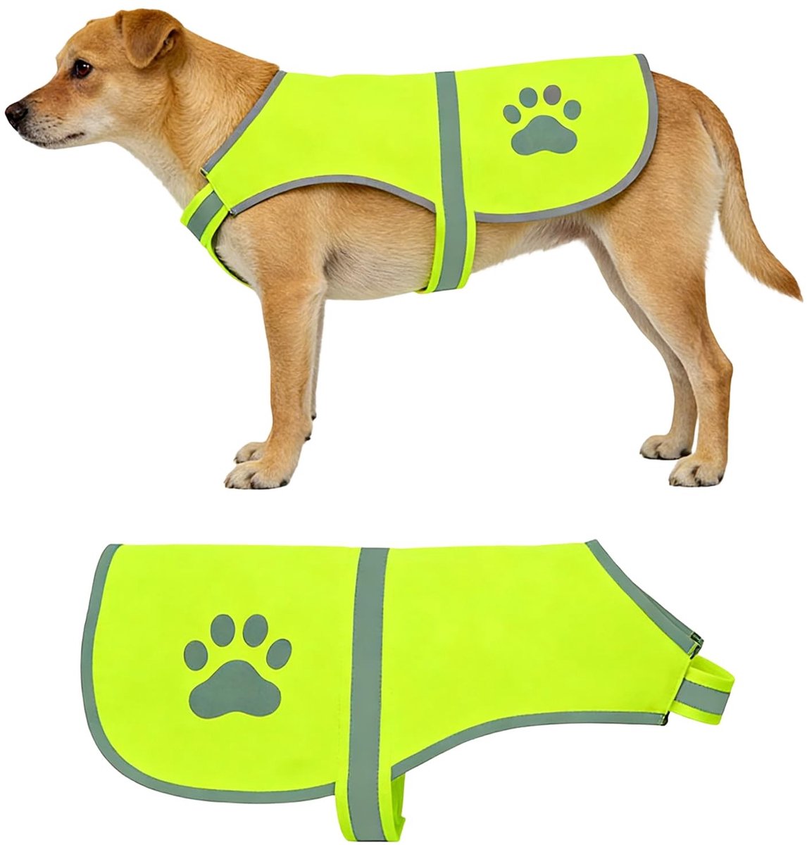 Solidchoice - Veiligheidsvest voor Honden met Hoge Zichtbaarheid en Verstelbare Sluiting