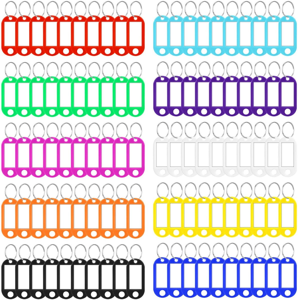 Solidchoice - Set van 100 Plastic Sleutelhangers met Labels voor Thuis en Kantoor