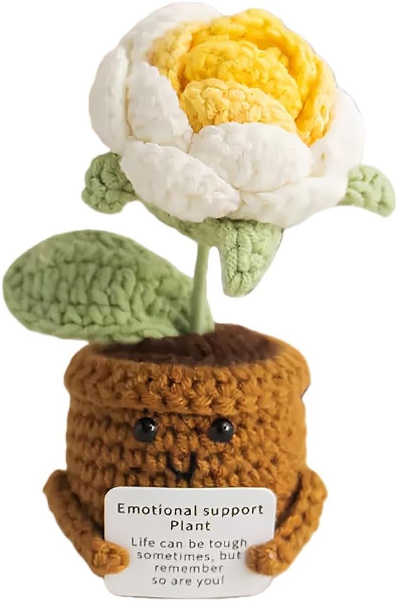 HuangJingYu Verjaardagscadeau voor mama gehaakte bloem emotionele ondersteuning plant positieve Potato handgemaakte - ShopVlot