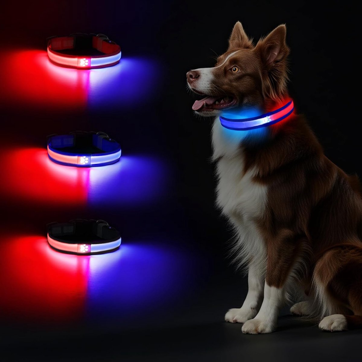 TC3300 halsband honden oplichtend blauw-M - ShopVlot