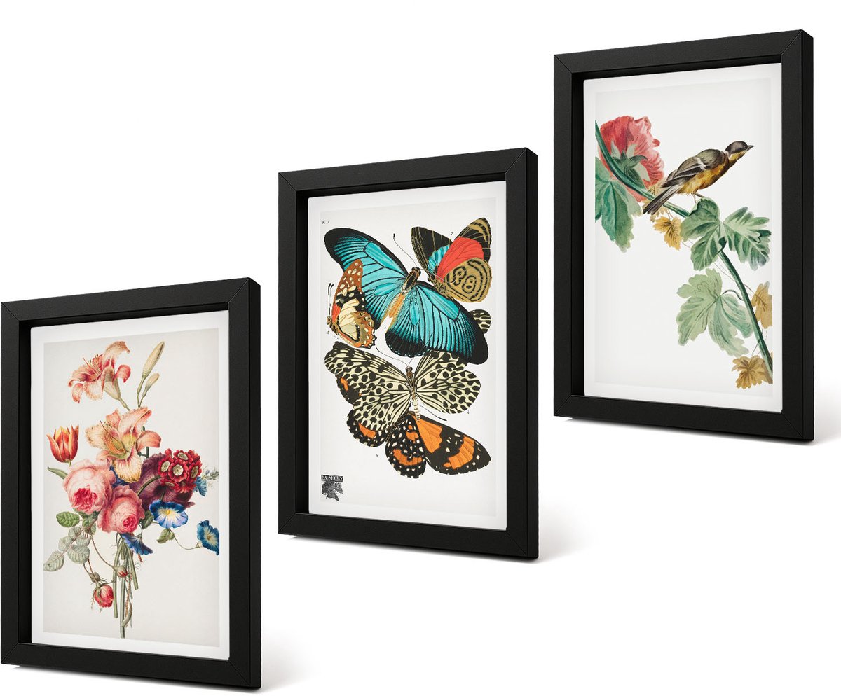 Coloray 4-Delige Schilderij Set - Bloemen, vlinders en vogels in pasteltinten - 20 x 30 cm - Muurdecoratie - Decoratieve Schilderijen - Wohnzimmer - Stijlvolle Muurdecoratie Zwarte lijst