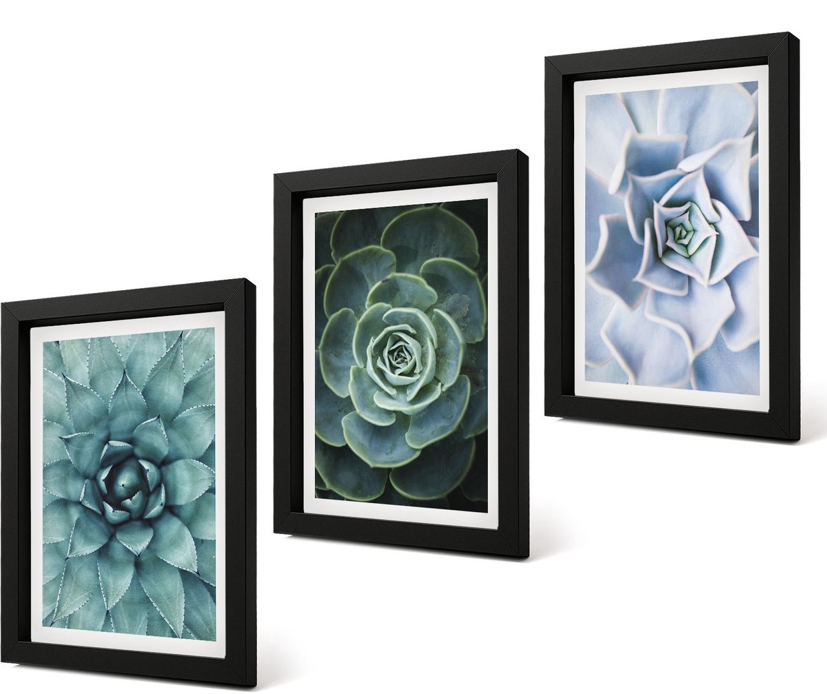 Coloray 4-Delige Schilderij Set - Vetplanten in groene en turquoise tinten. - 20 x 30 cm - Stijlvolle Muurdecoratie - Kantoor - Wanddecoratie