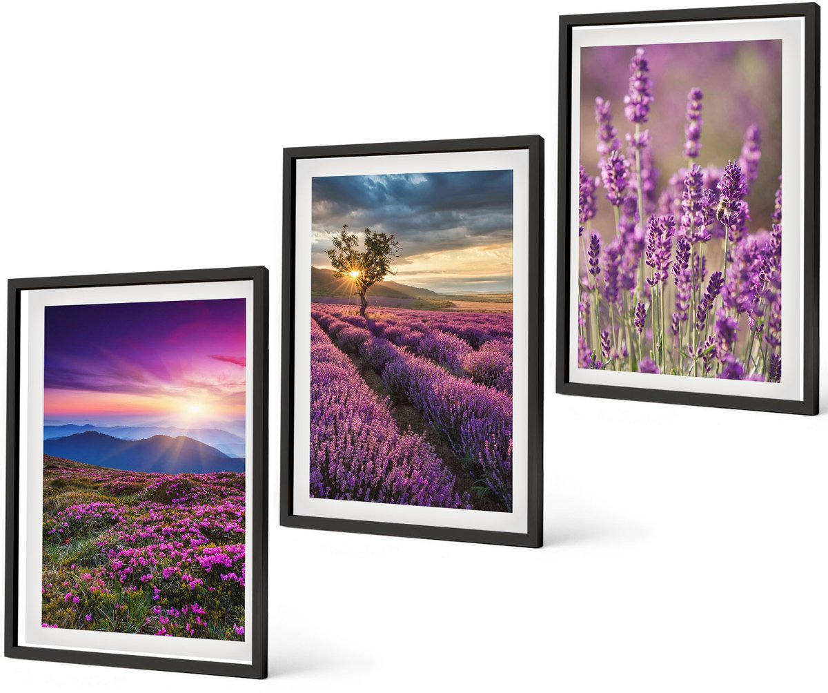 Coloray 3-Delige Schilderij Set - Landschap Met Lavendelvelden En Zonsondergang - 40 x 60 cm - Decoratieve Schilderijen - Wanddecoratie - Hal - Woonkamer Decoratie