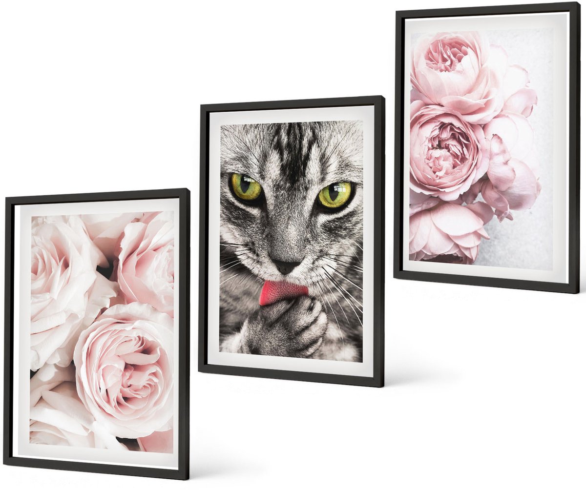 Coloray 3-Delige Schilderij Set - Kat Tussen Roze Rozen En Pioenrozen - 40 x 60 cm - Muurdecoratie - Schilderijen Set - Woonkamer - Decoratieve Schilderijen