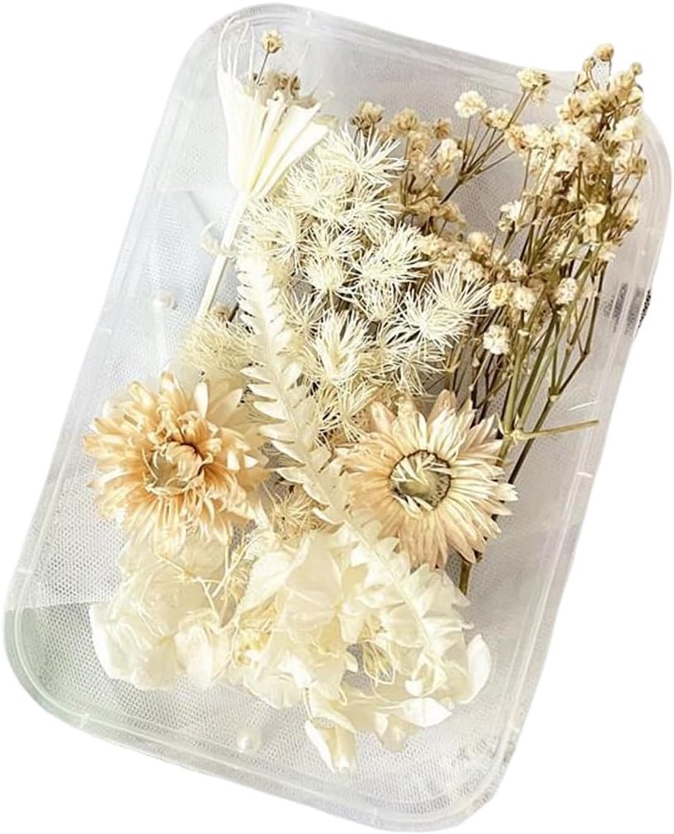 gedecoreerde gedroogde bloemen - natuurlijk en geperst - perfect voor knutselen en sieraden maken - ShopVlot