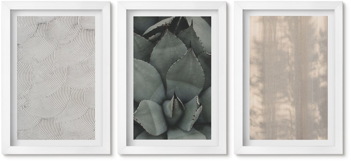 Wallfluent 3-Delige Schilderij Set - Zomerse Texturen Van Dichtbij In Een Tropisch Klimaat - 20 x 30 - Wanddecoratie - Woonkamer Decoratie