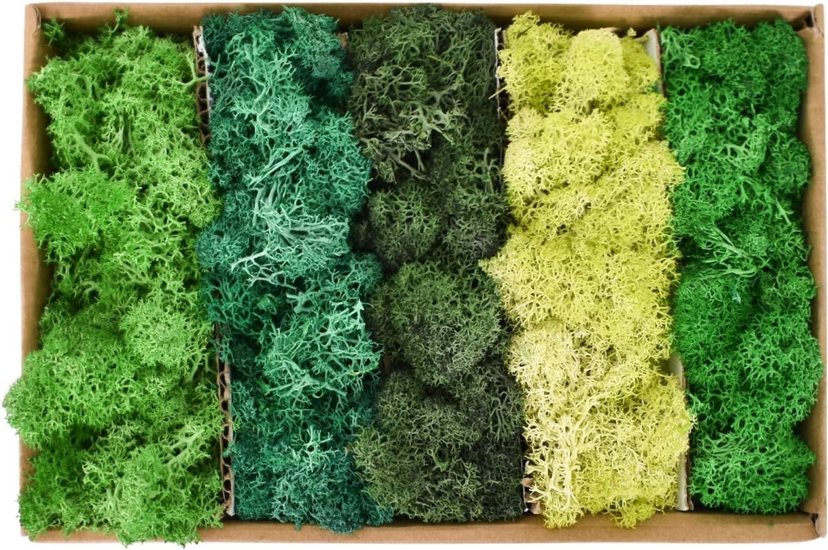 Moschio uit IJsland, 200 g, geconserveerd mos voor decoratie, 5 kleuren - ShopVlot