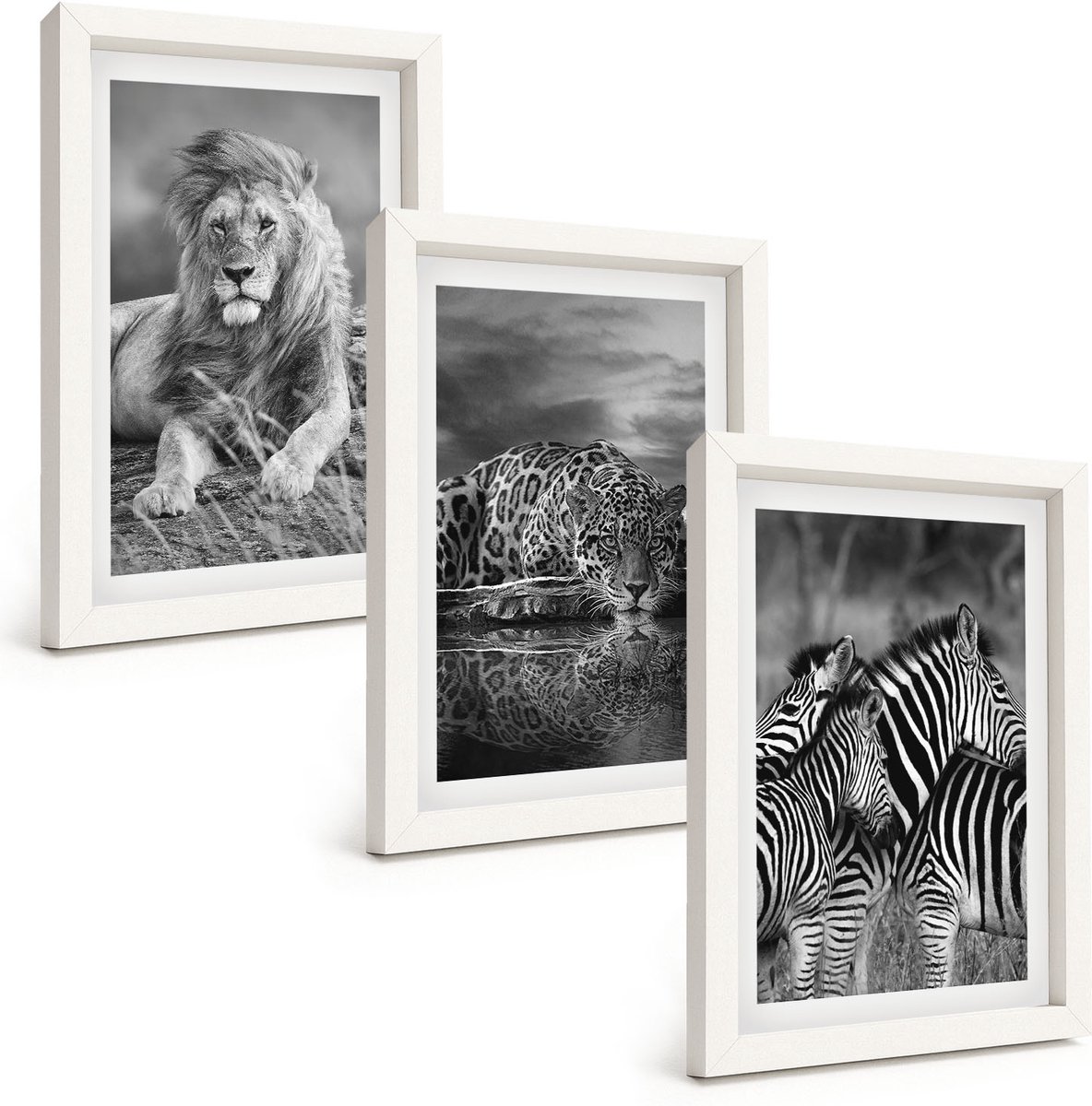 Tulup 3-Delige Schilderij Set - Wilde dieren van de savanne: leeuw, jaguar en zebra. - 20x30 - Stijlvolle Muurdecoratie - Kantoor - Moderne Wanddecoratie
