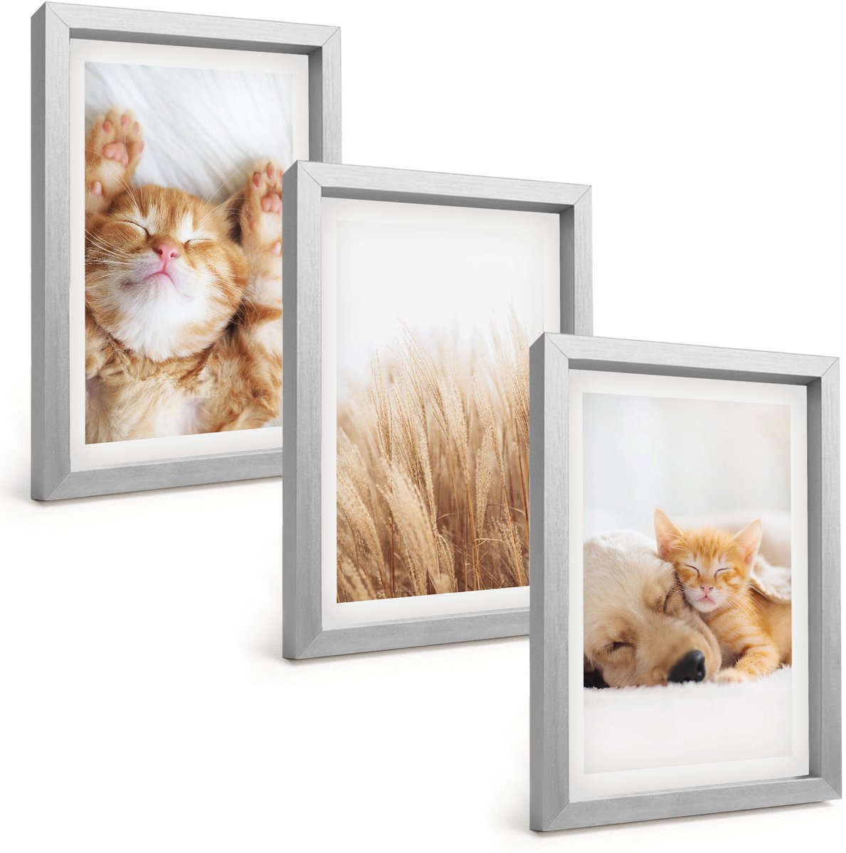 Tulup 4-Delige Schilderij Set - Schattige dieren: katten, honden, zacht gras, boho-stijl. - 20 x 30 cm - Muurdecoratie - Wanddecoratie - Slaapkamer