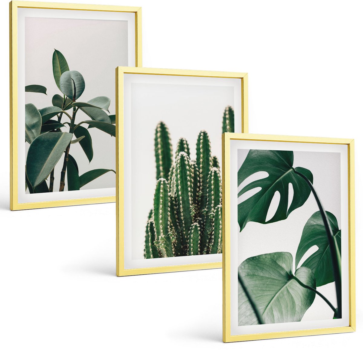 TULUP 4-Delige Schilderij Set - Tropische kamerplanten met esthetische bladeren - 40 x 60 cm - Muurdecoratie - Decoratieve Schilderijen - Wohnzimmer - Stijlvolle Muurdecoratie Gouden lijst