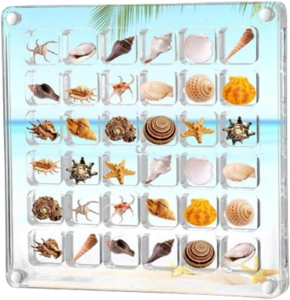 Magnetic Acrylic Stand 36 Compartments Transparent Organiser for Objects Collection Box for Shells, Nails Jewellery - ShopVlot