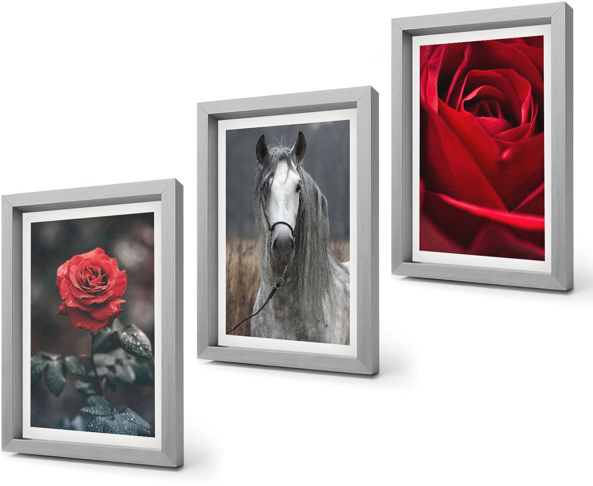 Coloray 4-Delige Schilderij Set - Rode rozen en een paard in een grijze omgeving - 20 x 30 cm - Wanddecoratie - Schilderijen Set - Kantoor - Woonkamer Decoratie Zilveren lijst
