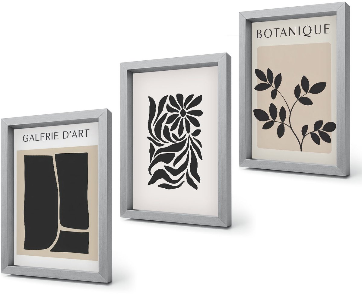 Coloray 4-Delige Schilderij Set - Abstracte bloemenpatronen en geometrische vormen - 20 x 30 cm - Muurdecoratie - Decoratieve Schilderijen - Wohnzimmer Zilveren lijst