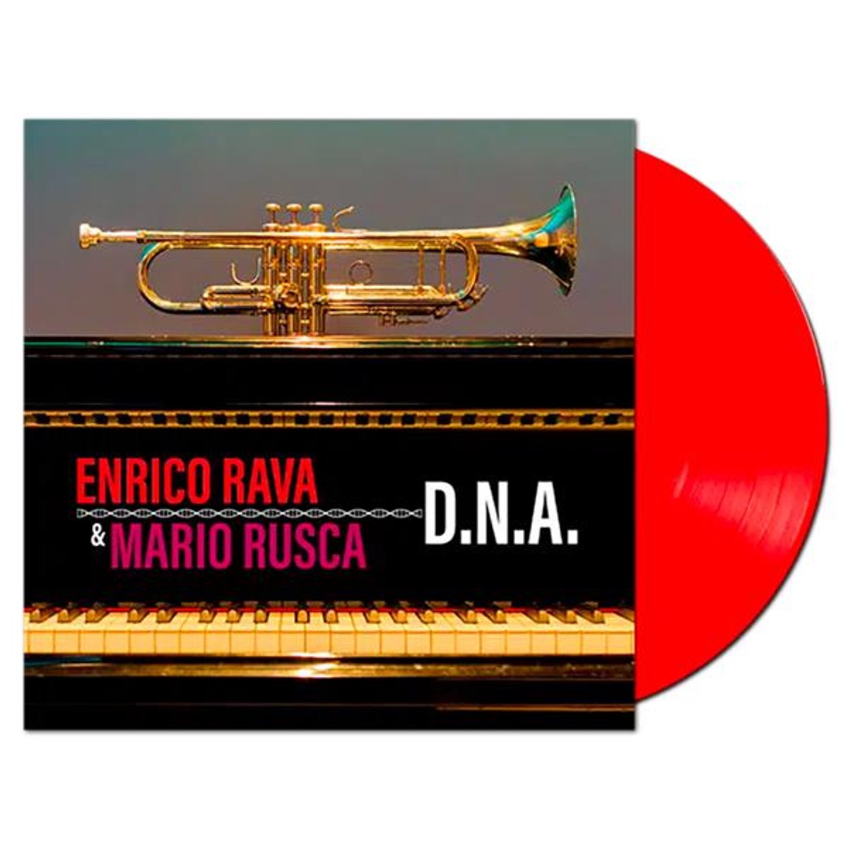 D.N.A.