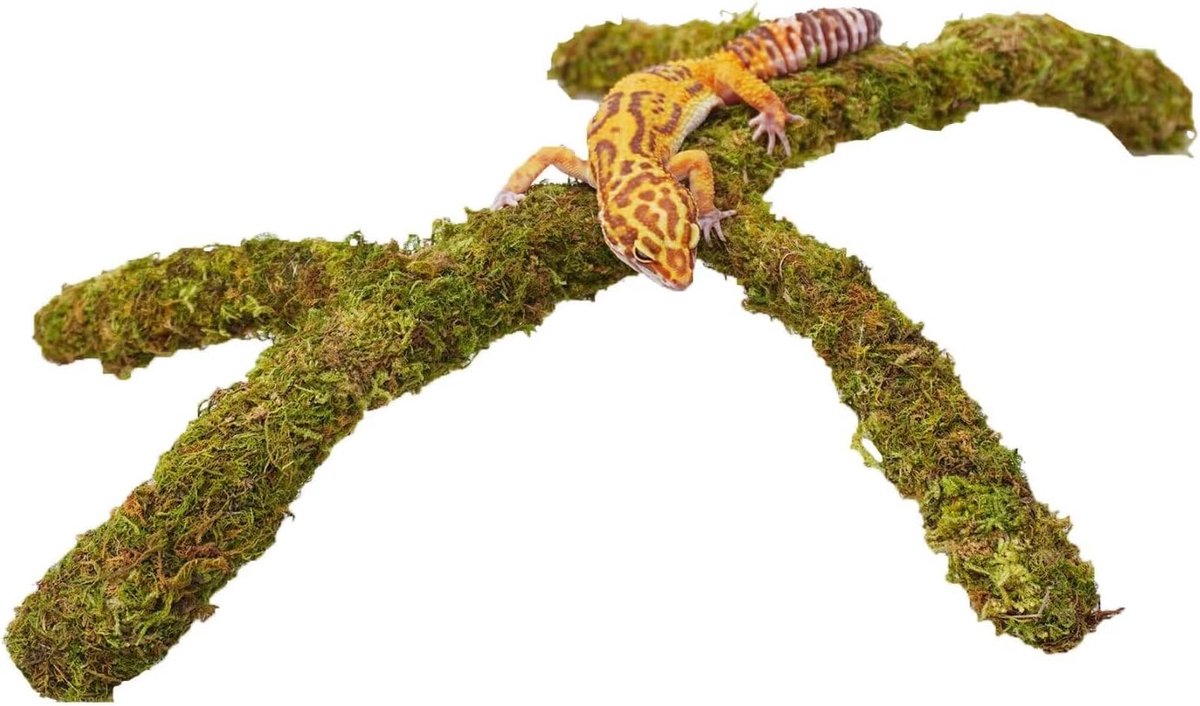 SnelShoppen - Leopard Gecko Terrarium Accessoires Klimgym Speelgoed Verstelbaar Terrarium Decoratie voor Huisdieren met Vochtige Oppervlak