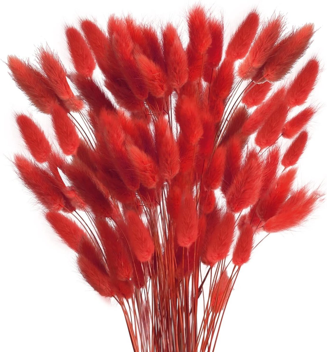 SnelShoppen - 120 Stuks Dried Rabbit Tail Flowers, Roze Pampasgras, Decoratieve Drogen Planten voor Vaas, Tafel, Feest en Thuisdecoratie