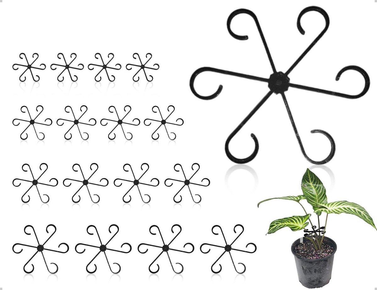 16 stuks plantensteunen, vaste plantenhouder, plastic plantensteun met 4 maten, herbruikbare rankhulp, kamer voor Monstera, bloem (zwart)
