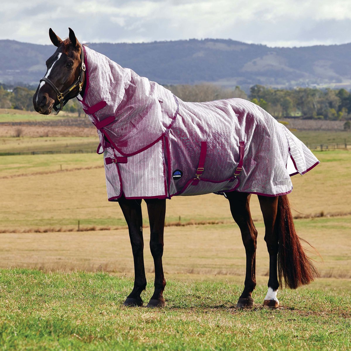 Weatherbeeta Comfitec Ripshield Vliegendeken met Afneembare Hals WIT/BORDEAUX 6'9/155cm