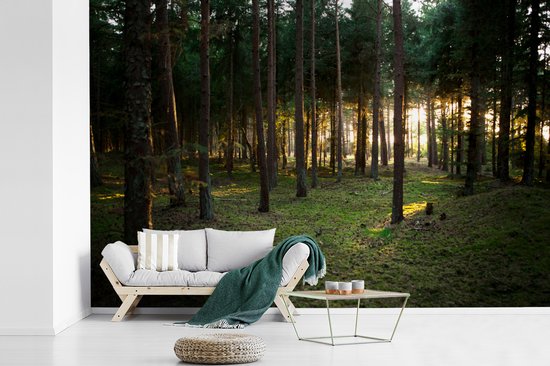 Papier Peint - Papiers Papier peint photo Arbre - Soleil - Herbe - Largeur 330 cm x Hauteur 220 cm