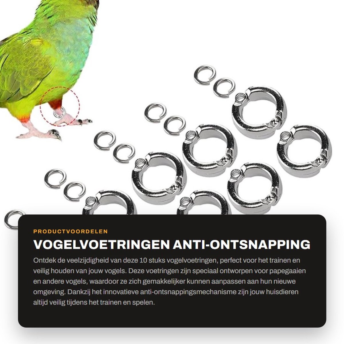Dailygoods- Vogelvoetringen 10 Stuks - Anti-Ontsnapping - Activiteitsring - Papegaai - Training - Outdoor - Voor Huisdiertraining - Vogelring