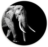 WallCircle® Wandcirkel 140x140 cm - Muurcirkel Olifant - Tanden - Dieren - Zwart - Wit - Muurdecoratie woonkamer - Wanddecoratie slaapkamer - Kamer decoratie accessoires - Ronde schilderijen