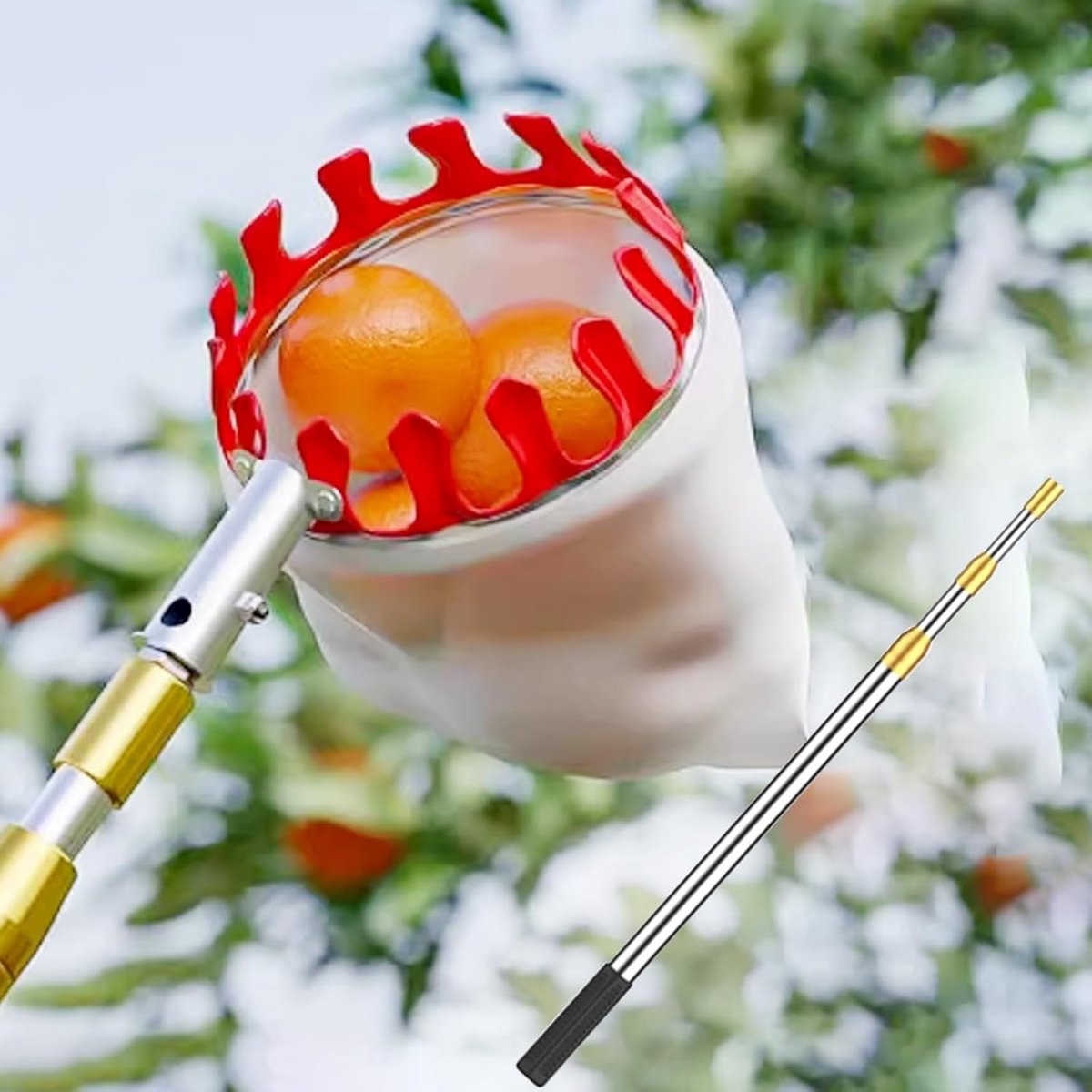 Fruitplukker Met Mand - Fruitdief - Fruit Oogsten - Telescopisch Uitschuifbaar - Tot 4 Meter - Zilver