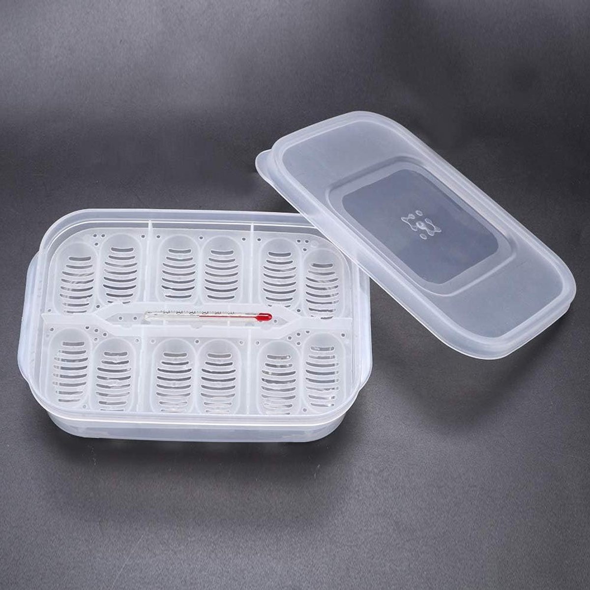 Reptielen Incubator - Broeddoos Eieren - Reptielen Uitbroeden - Transparante Hoes - 16.5 x 11 x 5.2 cm - Transparant