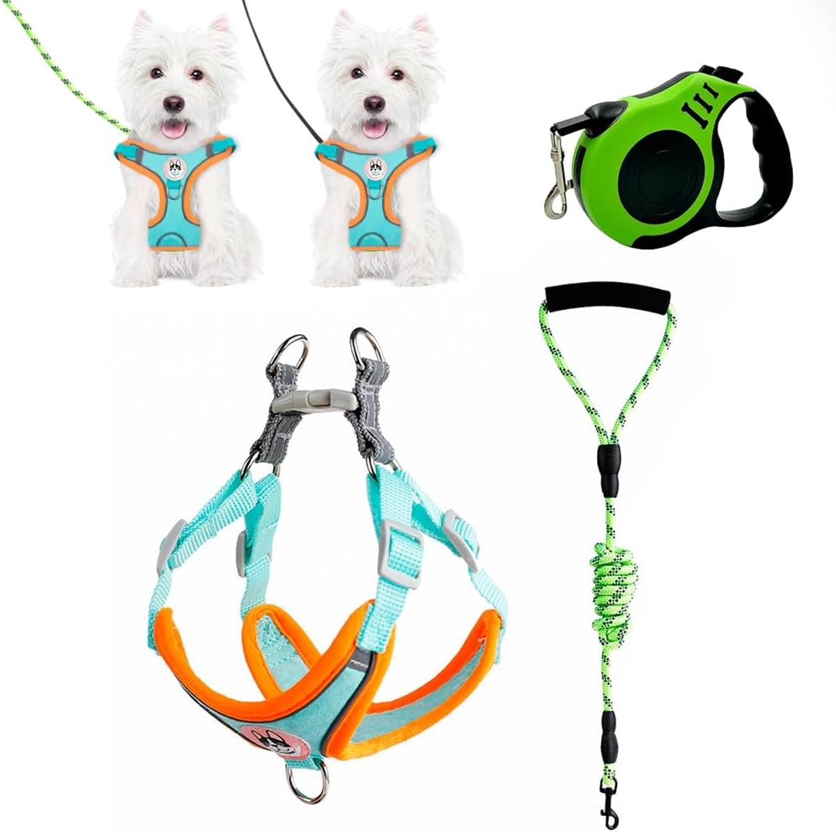 Hondentuig Set Kleine Honden - Verstelbaar Borsttuig - Reflecterend Ontwerp - Ideaal Voor Wandelen - SnelShoppen
