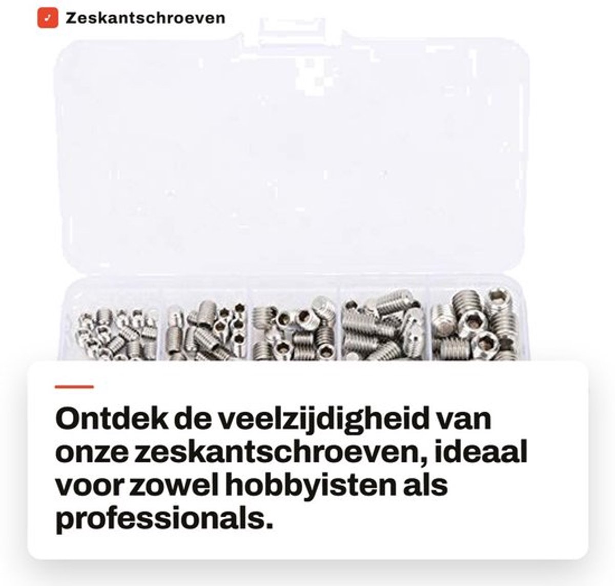 Allecto - Zeskantschroeven - Roestvrij staal - 200 Stuks - Geschikt