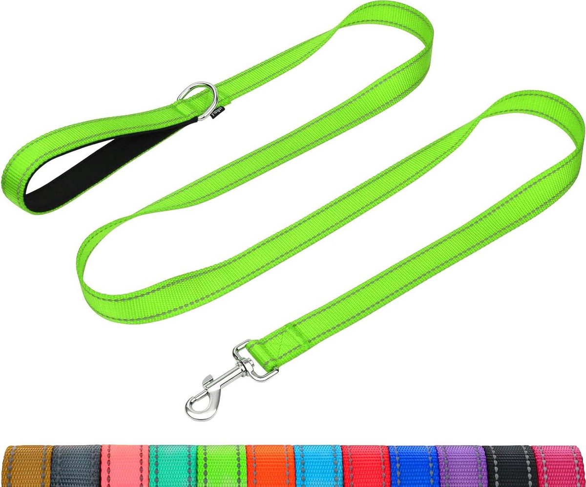 Hondenlijn Reflecterend - Hondenriem Nylon - Veilige Wandelingen - Gewatteerd Handvat - 120 cm - Neongroen