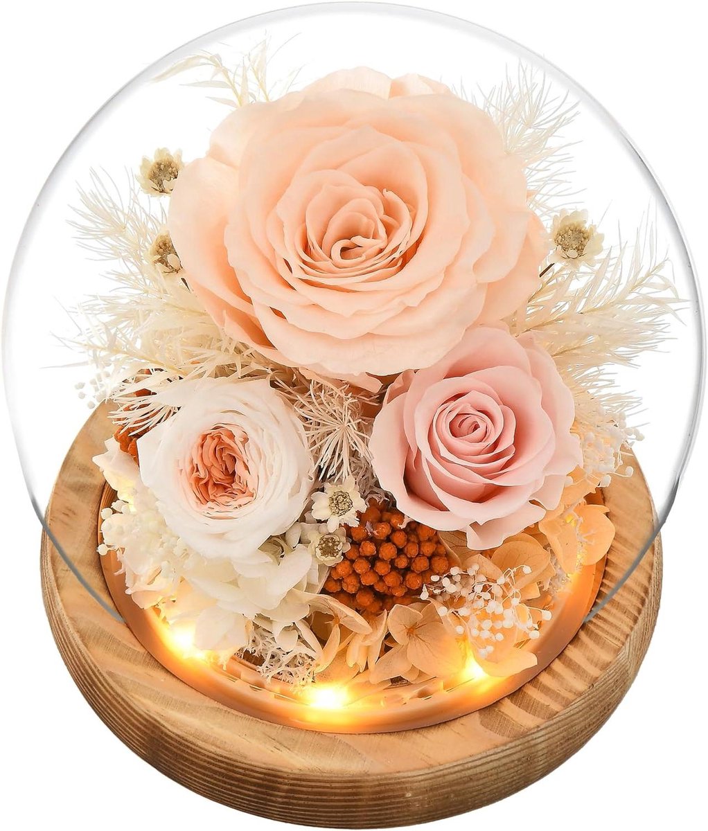 Geconserveerde Bloemen - Eeuwige Rozen - Cadeau Geven - Handgemaakt In Koepel - 12.7 x 12.7 cm - Champagne