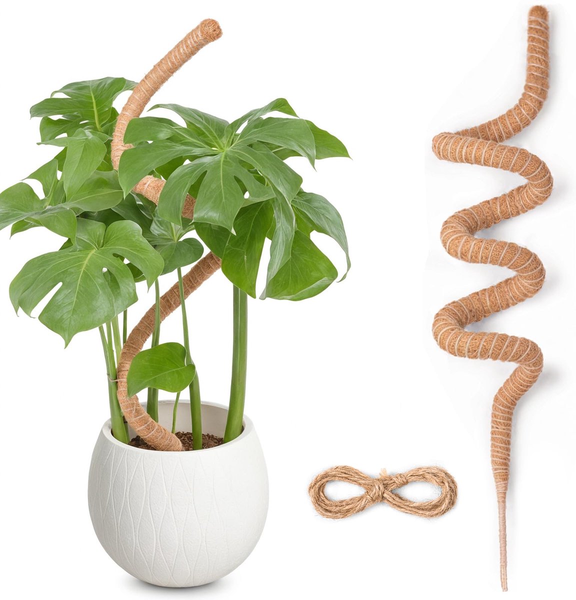 Monstera voor planten, 160 cm, buigzame klimhulp met accessoires voor klimplanten, handgemaakte kokosstaaf