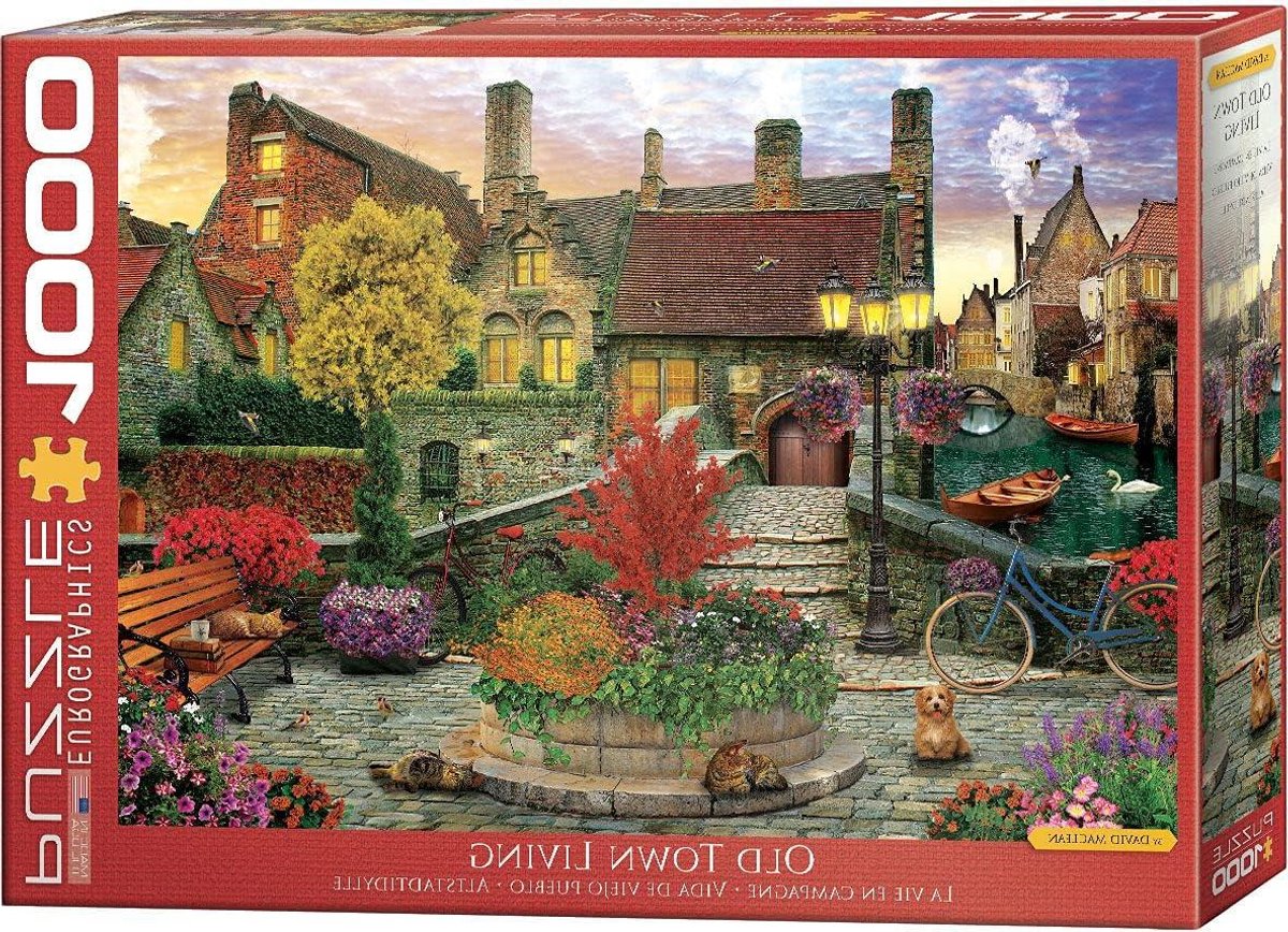 Puzzel 1000 Stukjes - Legpuzzel Volwassenen - Ontspanning Thuis - Perfecte Pasvorm - 68 x 48 cm - Kleurrijk