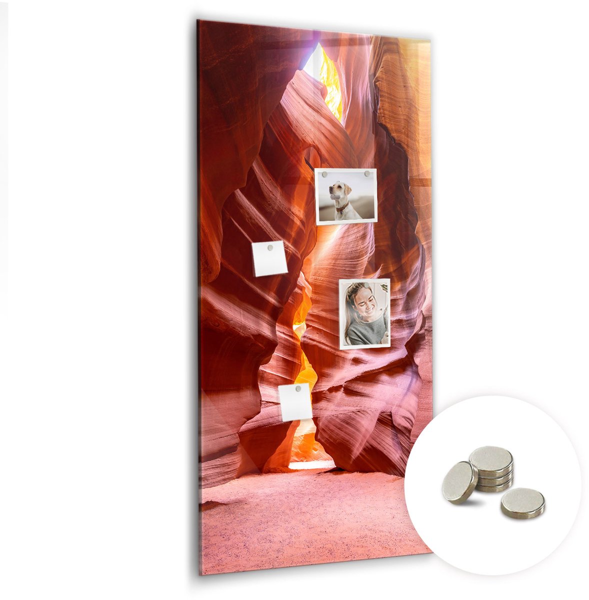 Coloray Glazen Magneetbord - Magnetisch Bord Exotische grote bladeren - 60x120 cm - Rood Magneetbord - Magnetic Board - Wanddecoratie