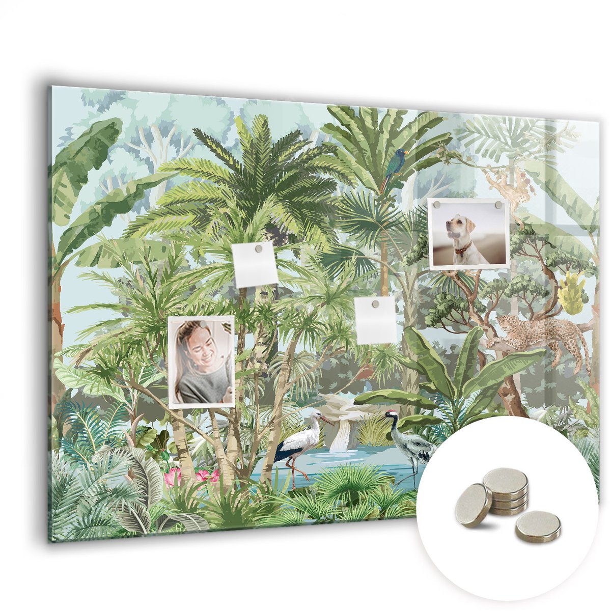 Coloray Glazen Magneetbord - Magnetisch Bord Tropische bladeren - 100x70 cm - Groente Magneetbord - Magnetic Board - Memobord
