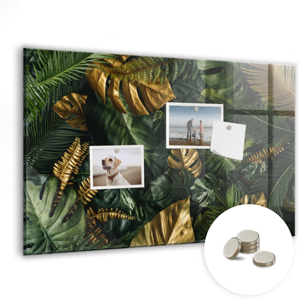 Coloray Glazen Magneetbord - Magnetisch Bord Junglebladeren - 60x40 cm - Groente Magneetbord - Magnetic Board - Woonkamer Decoratie