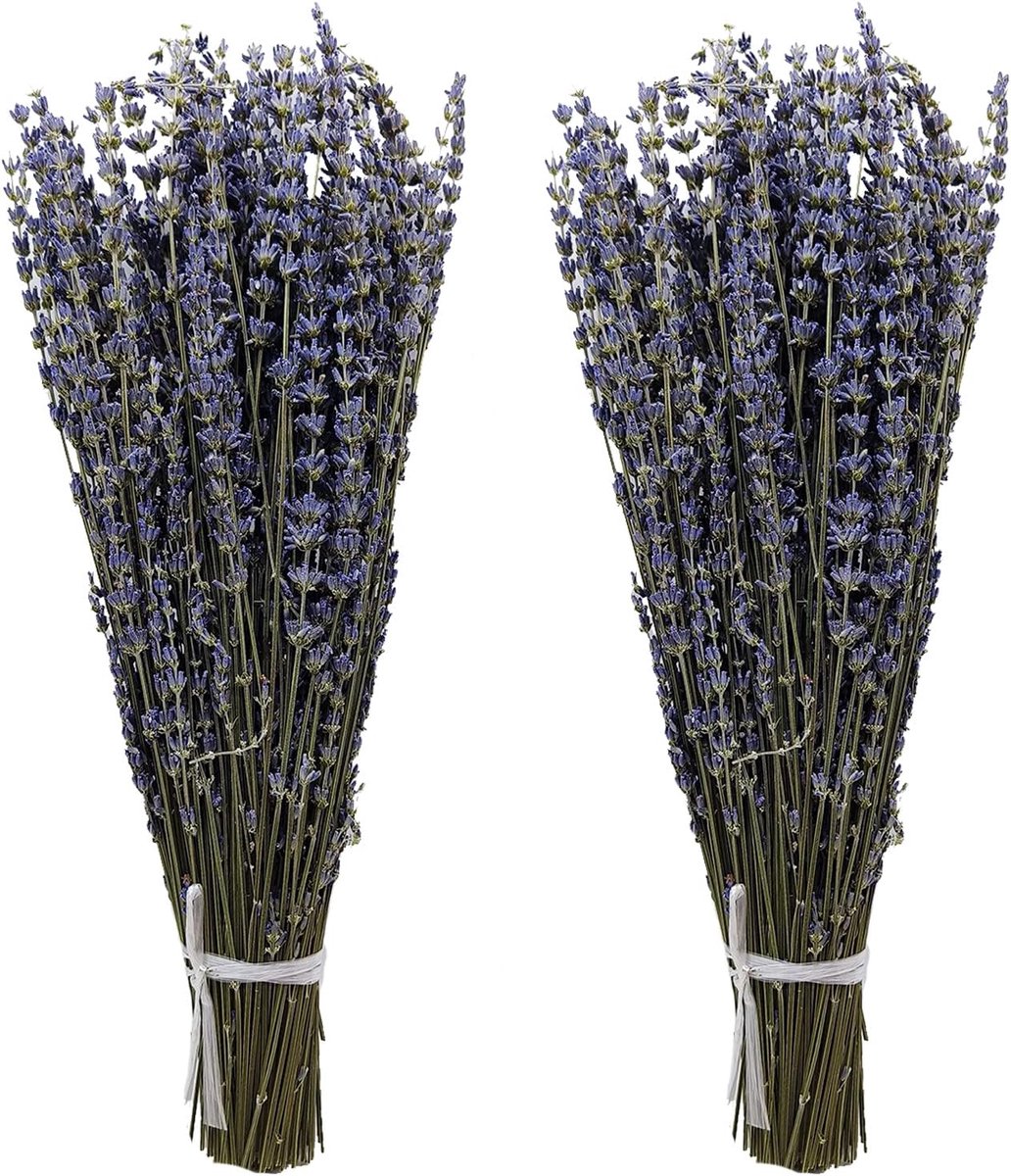 2pcs Dried Lavender Bundles Natural Dried Lavender Flowers 40cm Length Natural Dried Flowers for Home Wedding Flower - ShopVlot
