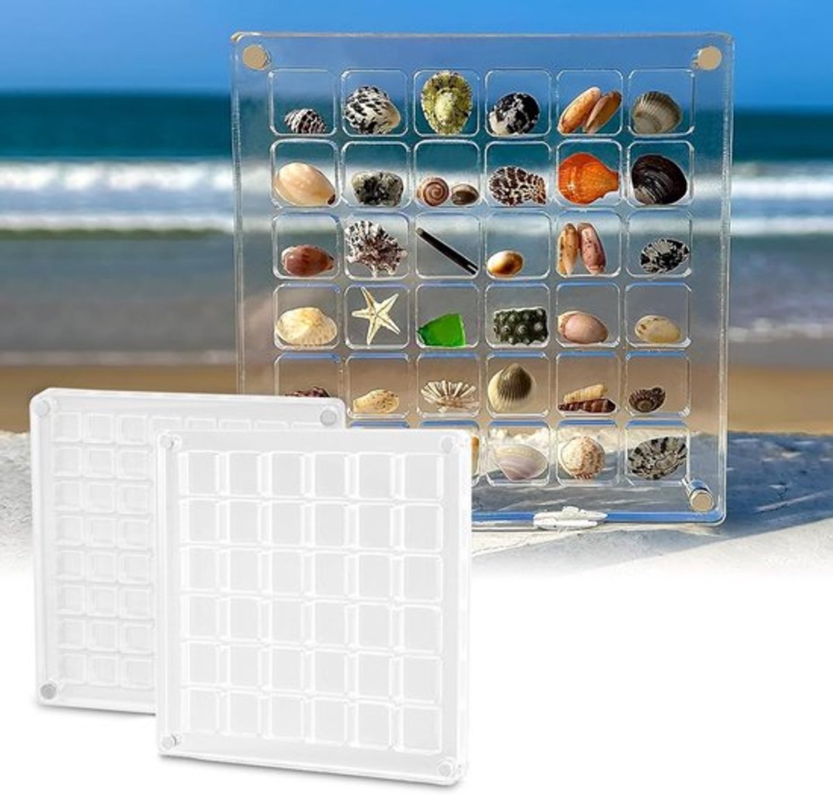 Acryl Displaybox voor Schelpen, Parels en Edelstenen - Transparante Opbergdoos met 36 Roosters en 64 Grids voor Collecties