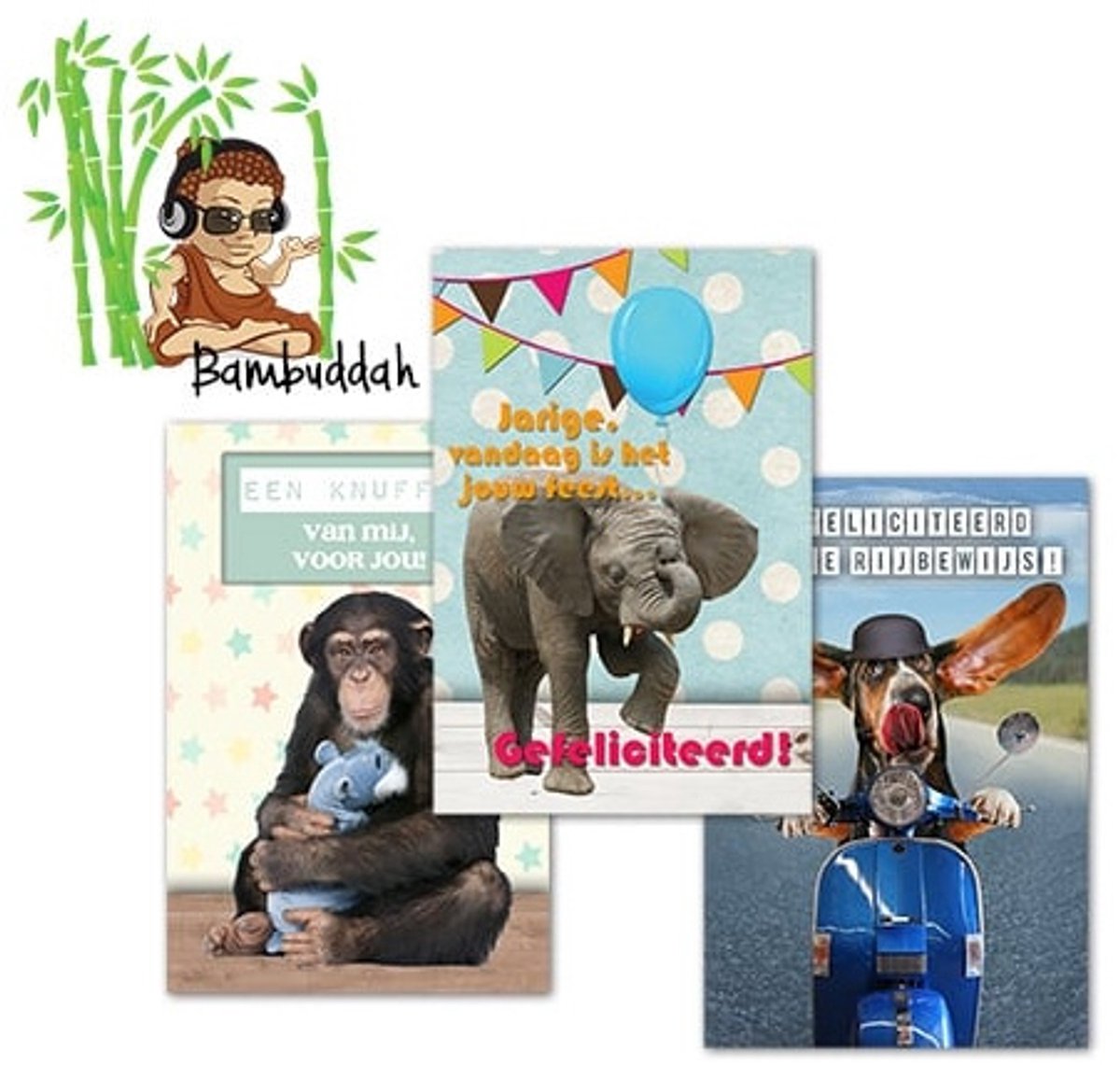 Bambuddah 11x17cm complete serie inclusief display in bruikleen, topkaart en backcards