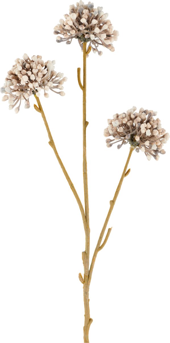 Easyplants | Kunstbloem Mini Allium 60 cm creme/bruin | Zijde | Nepbloemen | bruin | Onderhoudsvrij | Kant-en-klaar