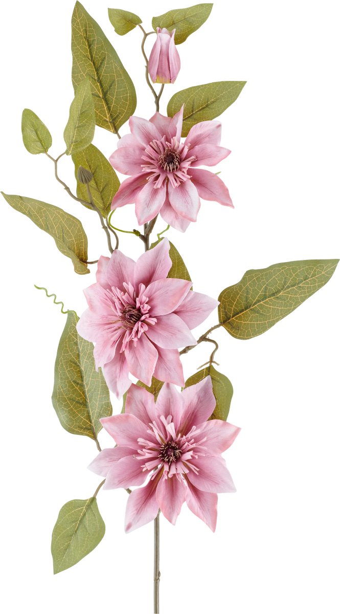 Easyplants | Kunstbloem Clematis 81 cm oud roze | Zijde | Nepbloemen | roze | Onderhoudsvrij | Kant-en-klaar