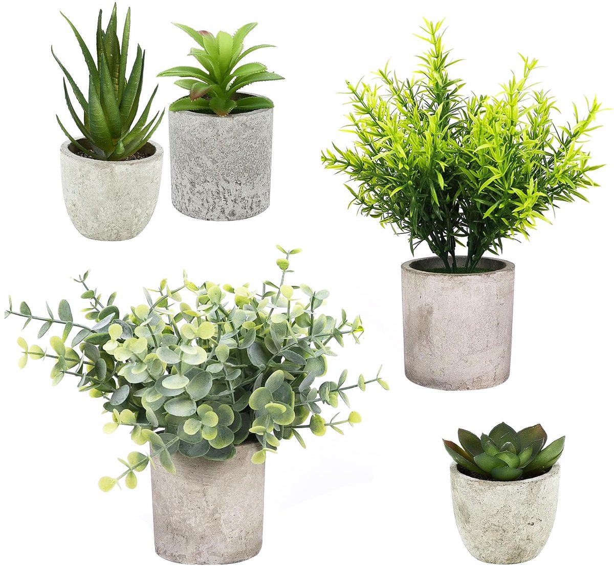 Famanu Set van 5 kleine kunstplanten, diverse mini-decoratieve planten voor interieurdecoratie Zwart