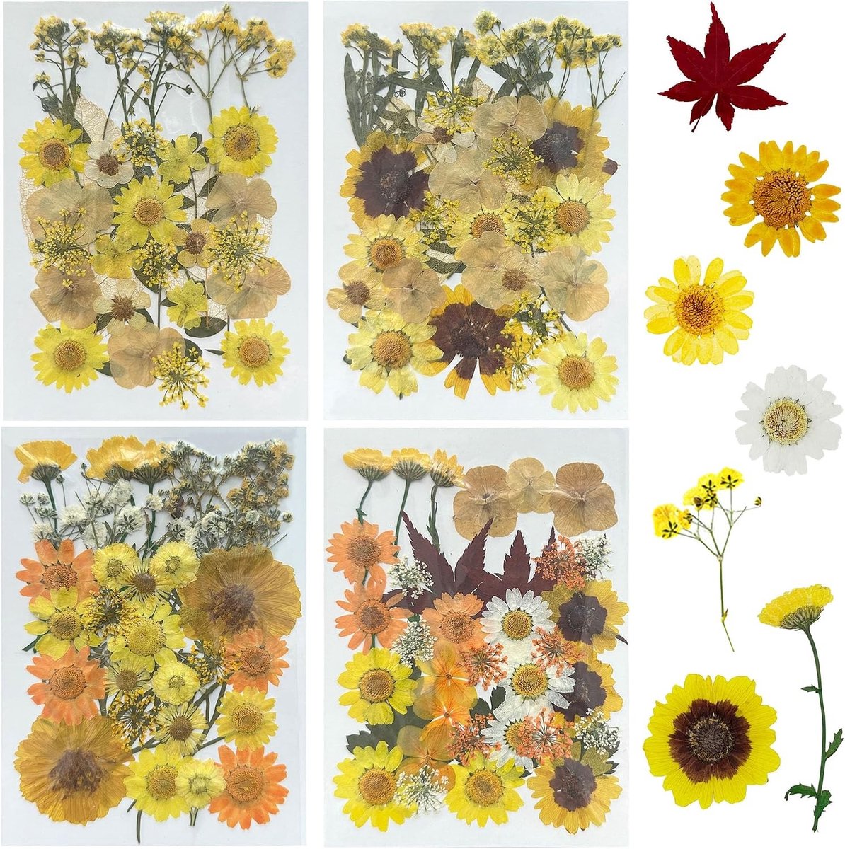137 Pcs Natuurlijke Gedroogde Bloemen en Bladeren voor Resin, Scrapbooking en Epoxy Sieraden