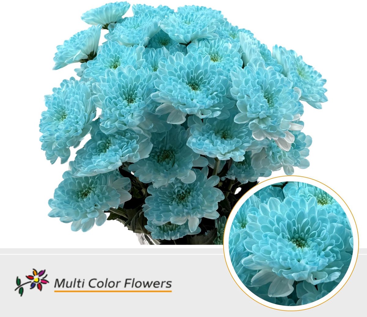 10x Chrysant overig 60cm
