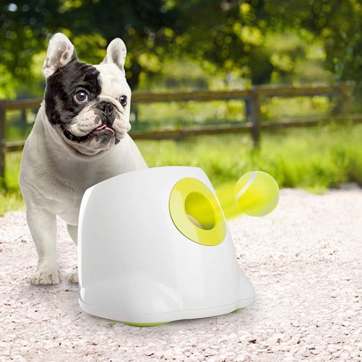 Klarven® Ballenwerper Voor Honden Wit - Automatisch - Inclusief 3 Tennisballen